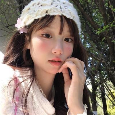 极岛森林第二季